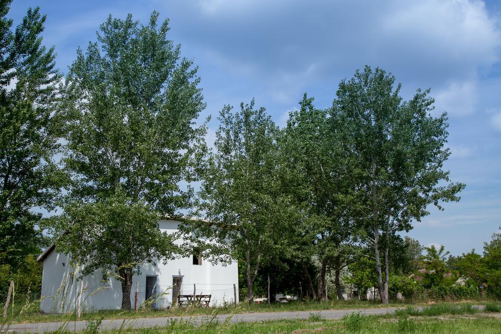 Hotel Casa Bella & Nova Palić Exteriér fotografie
